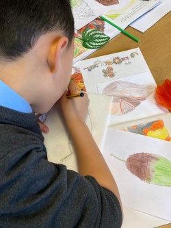 Botany studies